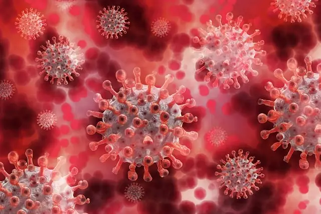Virus penyebab ISPA